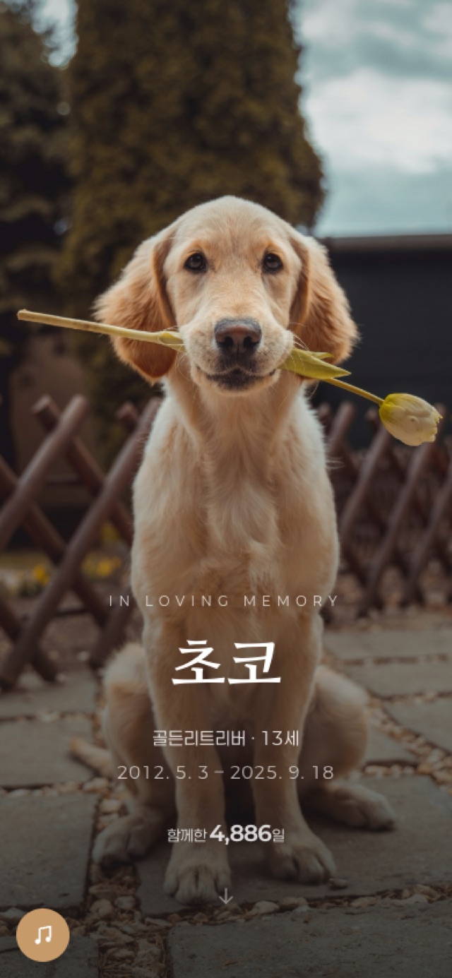 완성된 반려동물 추모 원페이지 예시